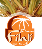 LES RIADS DE TAFILELET